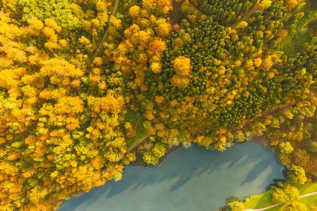 Vista aérea del bosque de otoño en el sur de Estiria