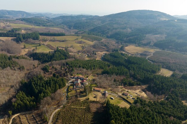 Vista aérea del bosque de pinos con una gran área de árboles talados como resultado de la industria global de deforestación Influencia humana dañina en la ecología mundial