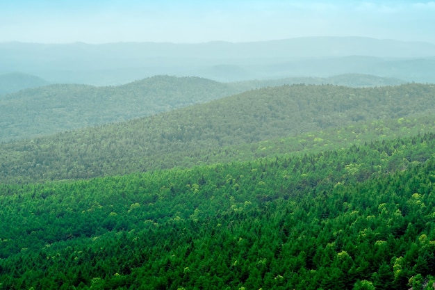 Vista aérea del bosque salvaje en un día nublado