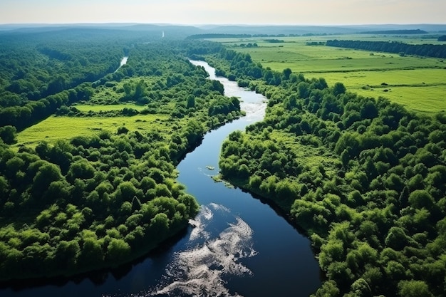 Vista aérea del bosque verde y el paisaje de pantano fluvial en verano vista superior de la naturaleza europea desde hig