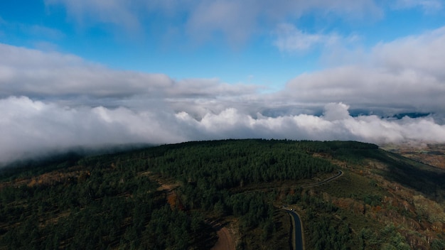 vista aerea del bosque