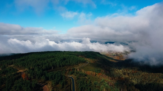 vista aerea del bosque