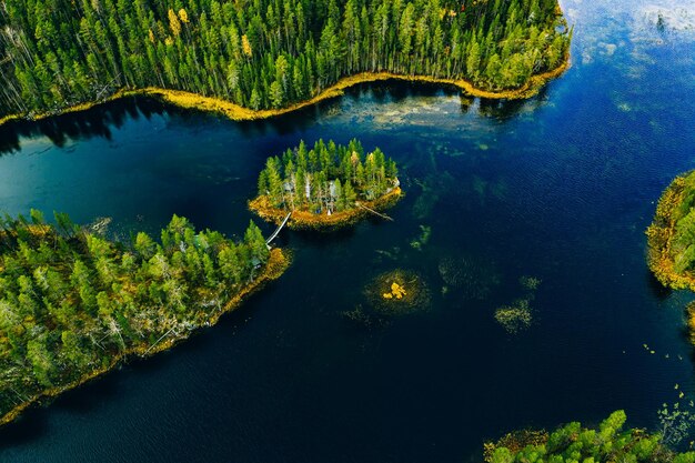 Vista aérea de bosques verdes salvajes y lagos y ríos azules en verano Finlandia