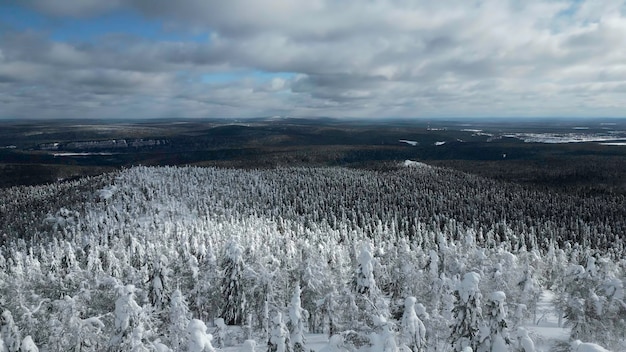 Vista aérea en cámara lenta de árboles nevados en un hermoso bosque de invierno clip paisaje de invierno en congelado