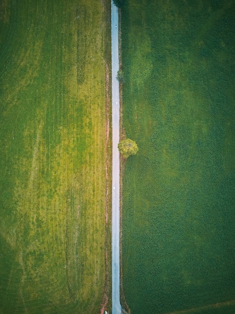 Vista aérea de un camino en un campo verde