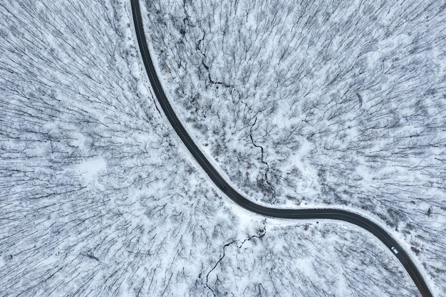 Vista aérea del camino forestal de invierno