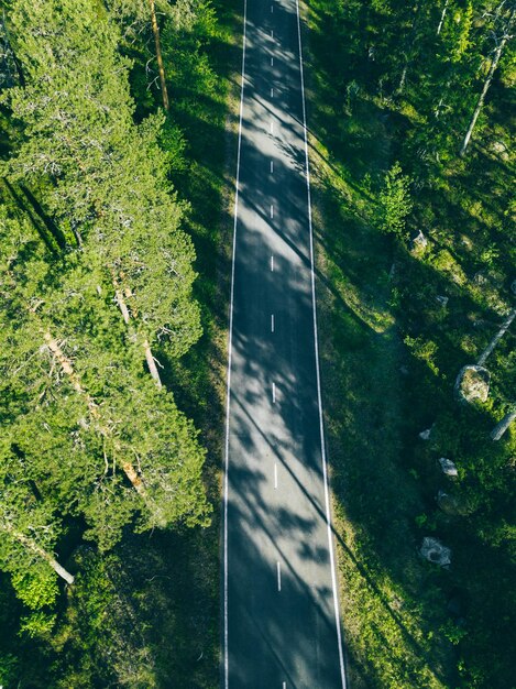 Vista aérea del camino forestal en verano