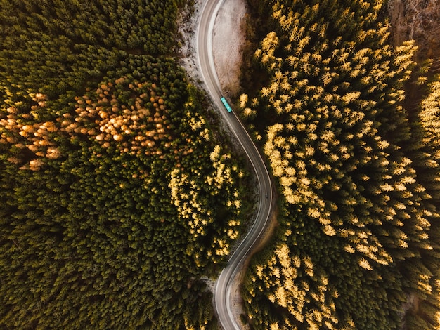 Foto vista aérea de un camino en medio del bosque