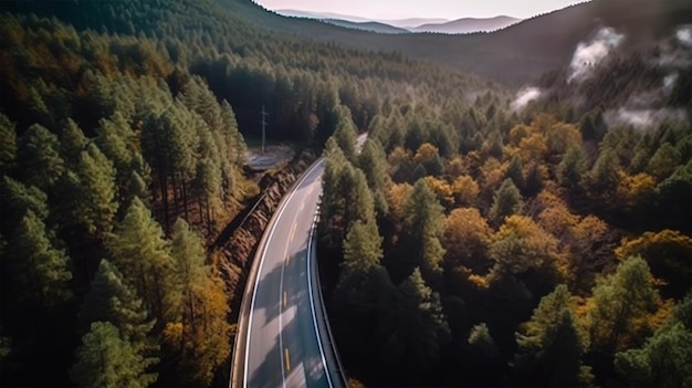 Vista aérea de un camino en medio del bosque