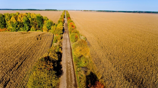 Vista aérea del camino de otoño de campo