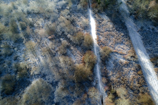Vista aérea de un camino rural que cruza un bosque cubierto de escarcha