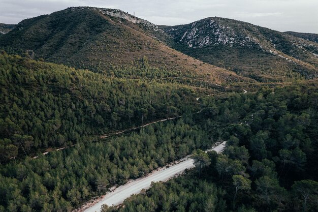 Vista aérea del camino salvaje en medio del bosque verde y las montañas