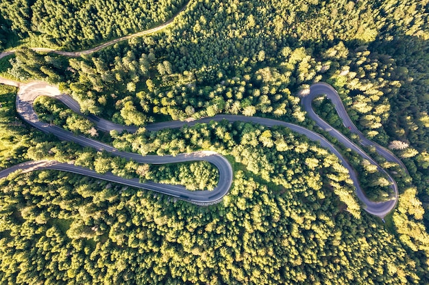 Vista aérea del camino sinuoso en paso de alta montaña a través de densos bosques de pinos verdes.