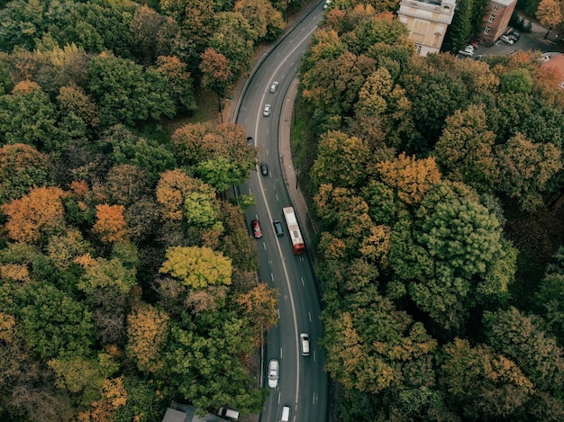 Vista aérea de un camino sinuoso a través de densos bosques