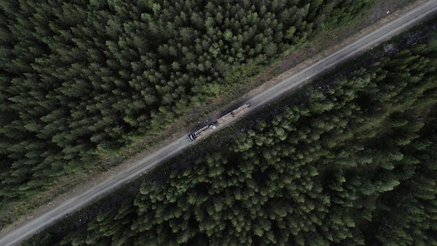 Vista aérea de un camión de madera conduciendo por un camino de tierra en el bosque