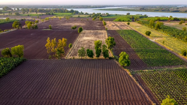 Vista aérea de un campo arado listo para sembrar