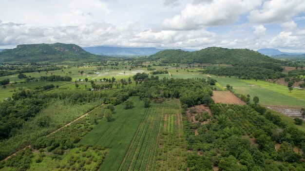 Vista aérea del campo de arroz