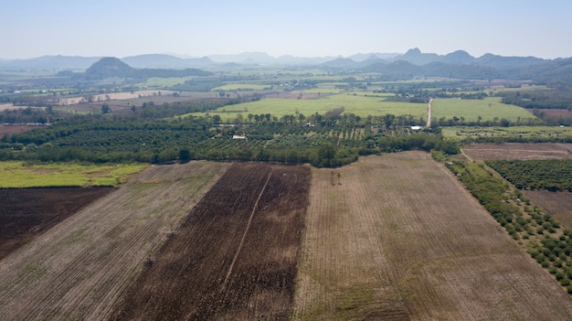 Vista aérea del campo de arroz