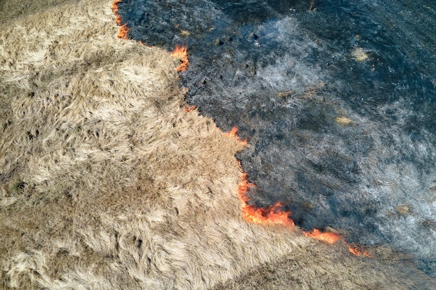 Vista aérea del campo de pastizales ardiendo con fuego rojo durante la estación seca. Concepto de desastre natural y cambio climático.