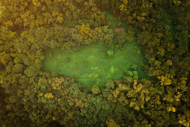 La vista aérea del campo salvaje y de hierba en el centro de la naturaleza