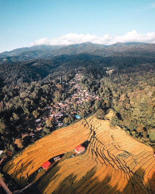 Foto vista aérea del campo de la terraza de arroz dorado en chiang mai, tailandia