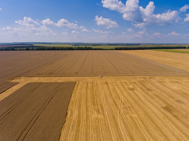 Vista aérea del campo de trigo amarillo en verano.