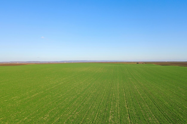 Vista aérea del campo verde desde arriba