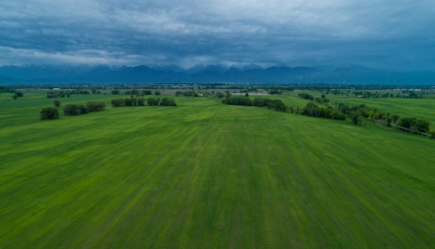 Vista aérea del campo verde
