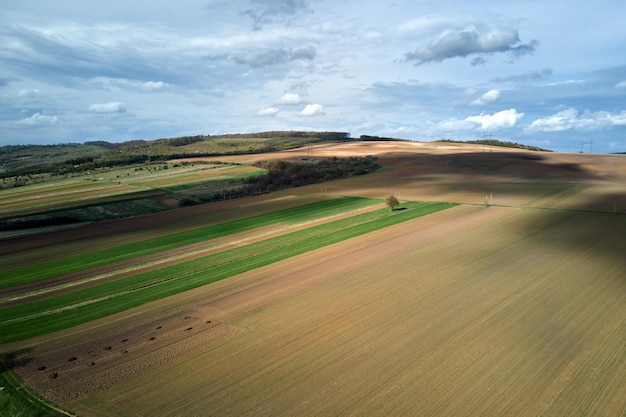 Vista aérea de campos agrícolas arados con suelo fértil cultivado preparado para plantar cultivos entre bosques verdes en primavera