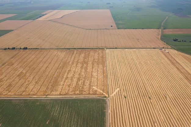 Vista aérea de campos agrícolas Campo Paisaje agrícola Vista aérea