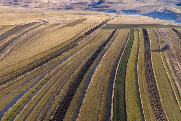 Vista aérea de los campos agrícolas en otoño