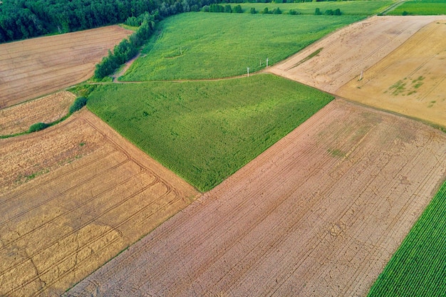 Vista aérea de campos agrícolas y verdes en el campo