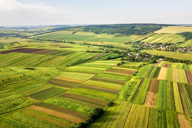 Vista aérea de campos agrícolas verdes en primavera con vegetación fresca después de la temporada de siembra en un día cálido y soleado.