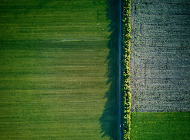 Vista aérea de los campos agrícolas.