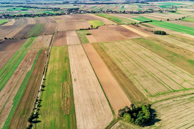 Vista aérea de campos agrícolas.