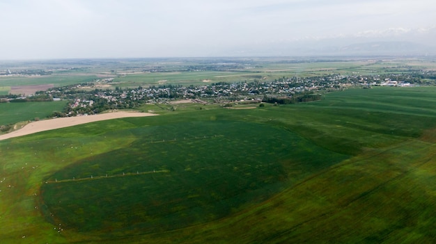 Vista aérea de campos de agricultura verde con cultivos en crecimiento