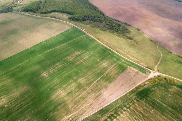 Vista aérea de los campos de agricultura verde en primavera con vegetación fresca después de la temporada de siembra.