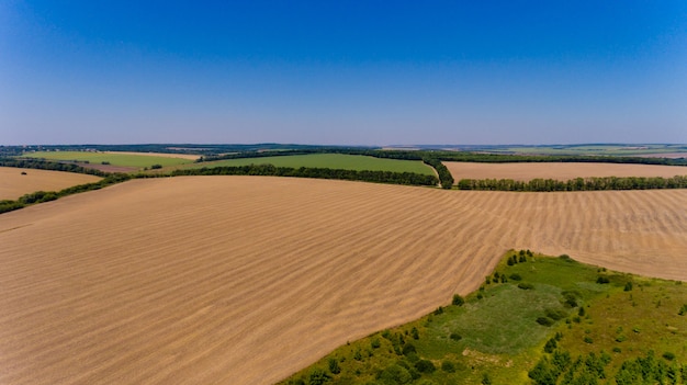 Vista aérea de los campos amarillos y verdes.