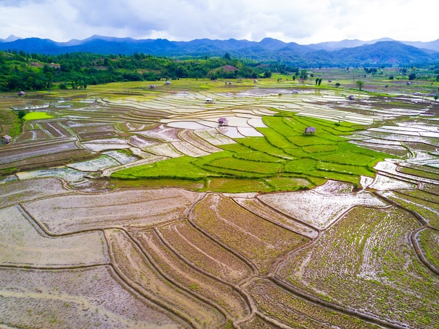 Vista aérea de campos de arroz con cáscara en el valle.