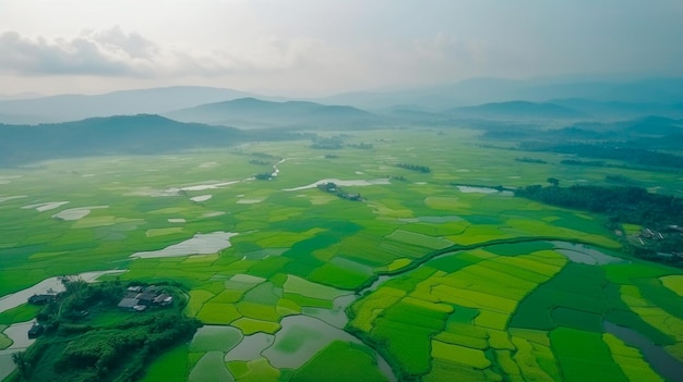 Vista aérea de los campos de arroz orientales paisaje surrealista de cultivo de arroz aviones y plantaciones verdes asiáticos Ilustrador de IA generativa