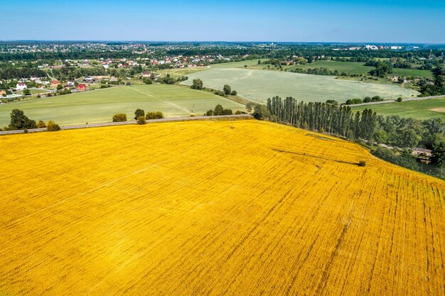 Vista aérea de campos en colinas