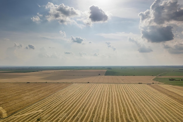 Vista aérea de campos de cultivo en un día soleado de verano. Cosecha de trigo.