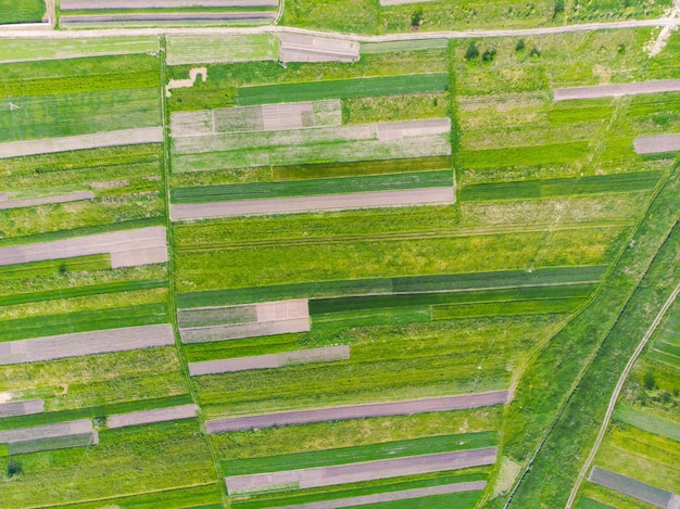 Vista aérea de campos de cultivo