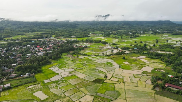 Vista aérea campos de arroz verde natureza fazenda agrícola fundo rural vista superior campo de arroz de cima com caminho parcelas agrícolas de diferentes culturas na montanha de vista verde na zona rural