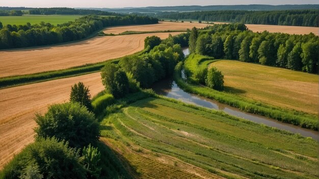 Vista aérea de campos junto a un río