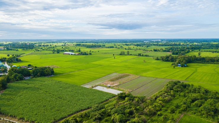 Vista aérea de campos con varios tipos de agricultura en Tailandia rural SamChuk, SuphanBuri, tailandés