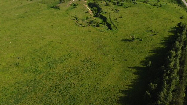 Vista aérea de campos verdes y árboles.