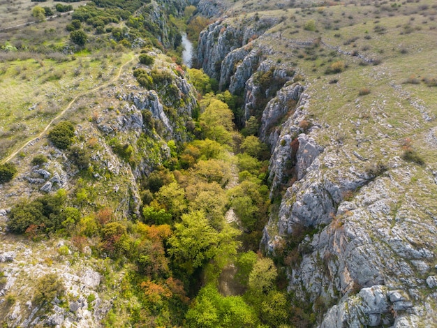 La vista aérea del cañón Aggitis en Grecia ofrece una impresionante vista aérea de los sinuosos acantilados escarpados del río y la exuberante vegetación que conforman esta maravilla natural