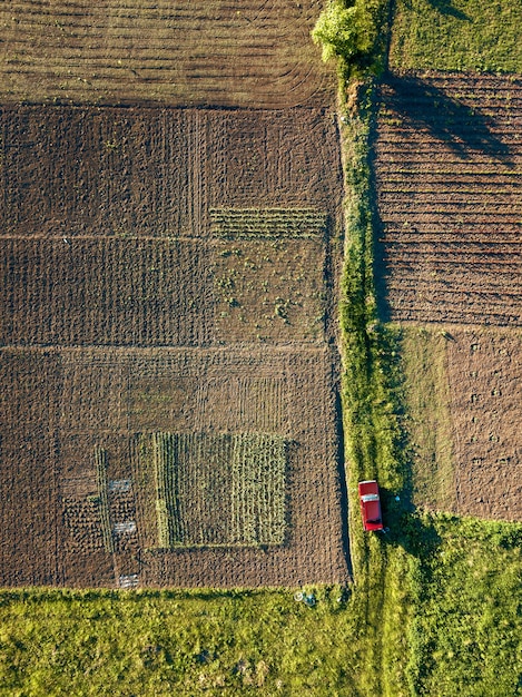 Vista aérea de la carretera entre las áreas agrícolas de los campos de cultivo, a lo largo del cual viaja el auto rojo. La vista superior está filmada por drones. Viajar en coche.