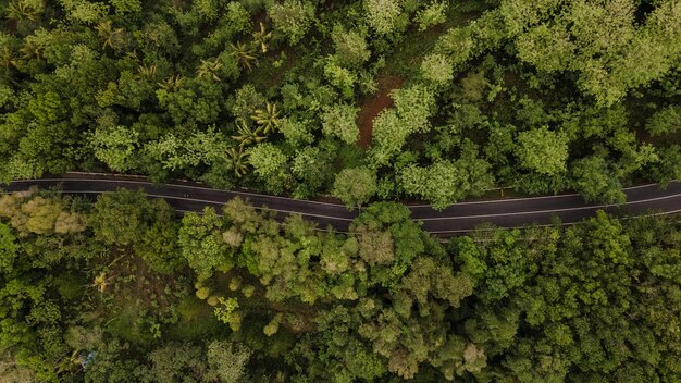 Foto vista aérea carretera de asfalto que serpentea a través del bosque y el campo